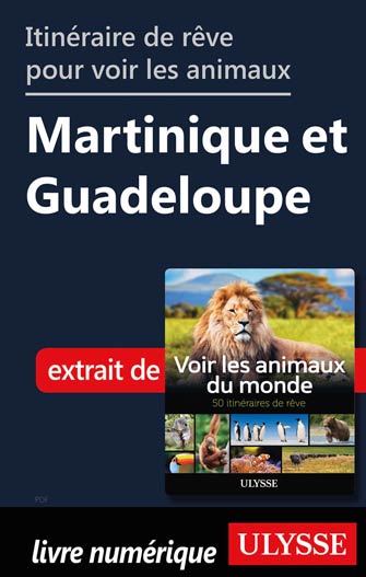 Itinéraires pour voir les animaux - Martinique et Guadeloupe