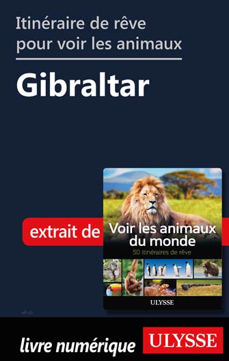 Itinéraire de rêve pour voir les animaux -  Gibraltar