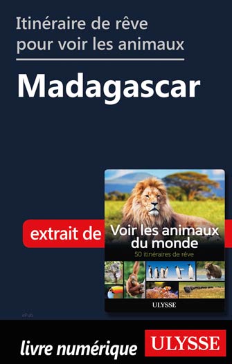 Itinéraire de rêve pour voir les animaux -  Madagascar