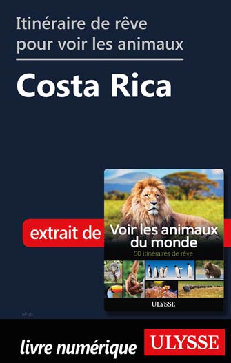 Itinéraire de rêve pour voir les animaux -  Costa Rica
