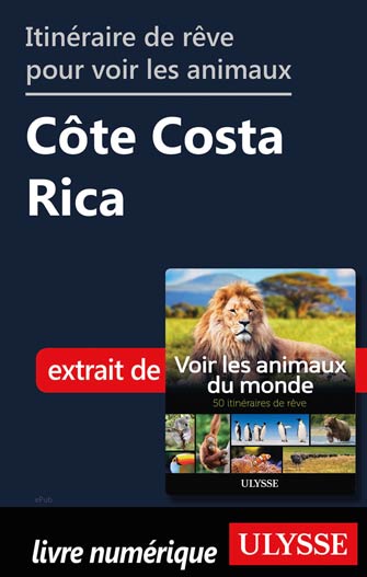Itinéraire de rêve pour voir les animaux -  Côte Costa Rica