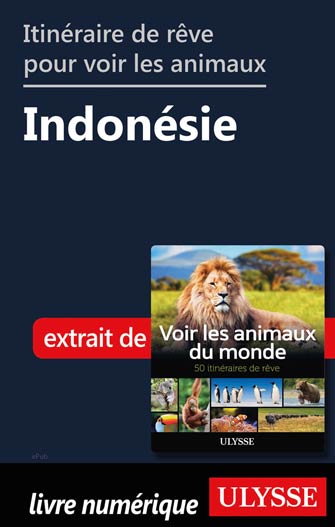 Itinéraire de rêve pour voir les animaux -  Indonésie