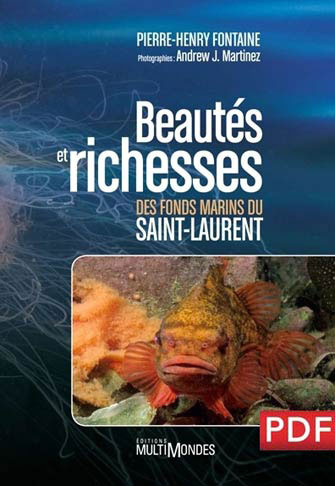 Beautés et Richesses des Fonds Marins du Saint-Laurent