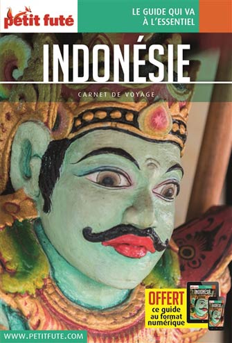 Petit Futé Carnets de Voyage Indonésie