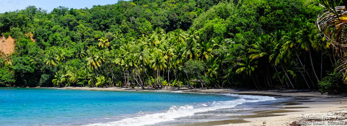Croisières dans les Caraïbes