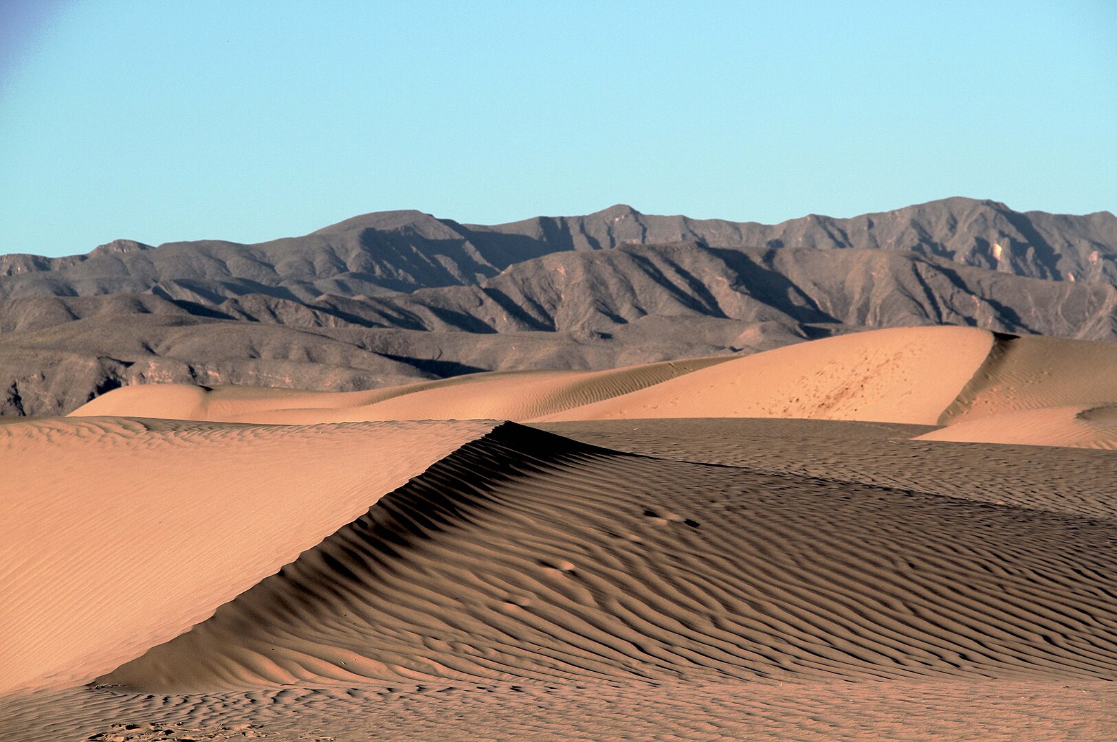 Las Dunas del Bilbao en Viesca, Coahuila, México. Par la Comisión Mexicana de Filmaciones -  CC BY-SA 2.0, 