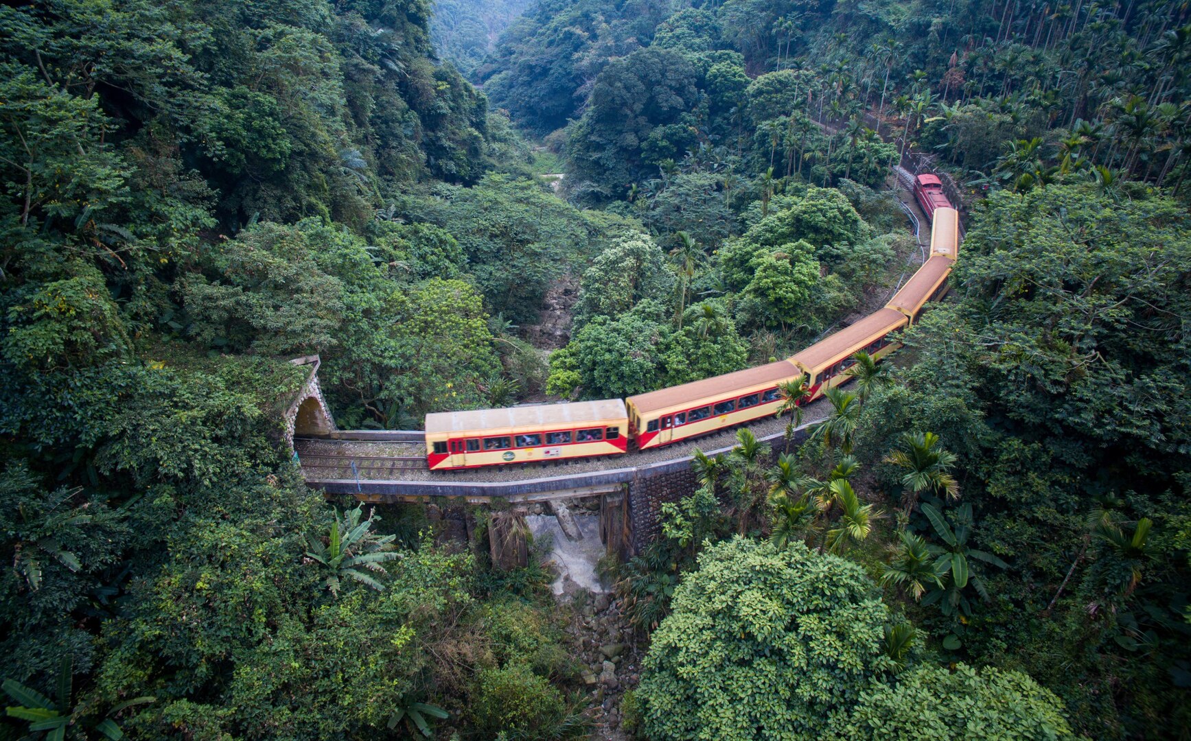 Un train de l'Ali Mountain Forest Line près de la gare de Heesiana. Par 阿里山林業鐵路及文化資產管理處,  © Government Website Open Information Announcement