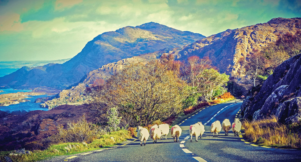 Ring of Kerry
©iStockphoto.com/Lisa5201