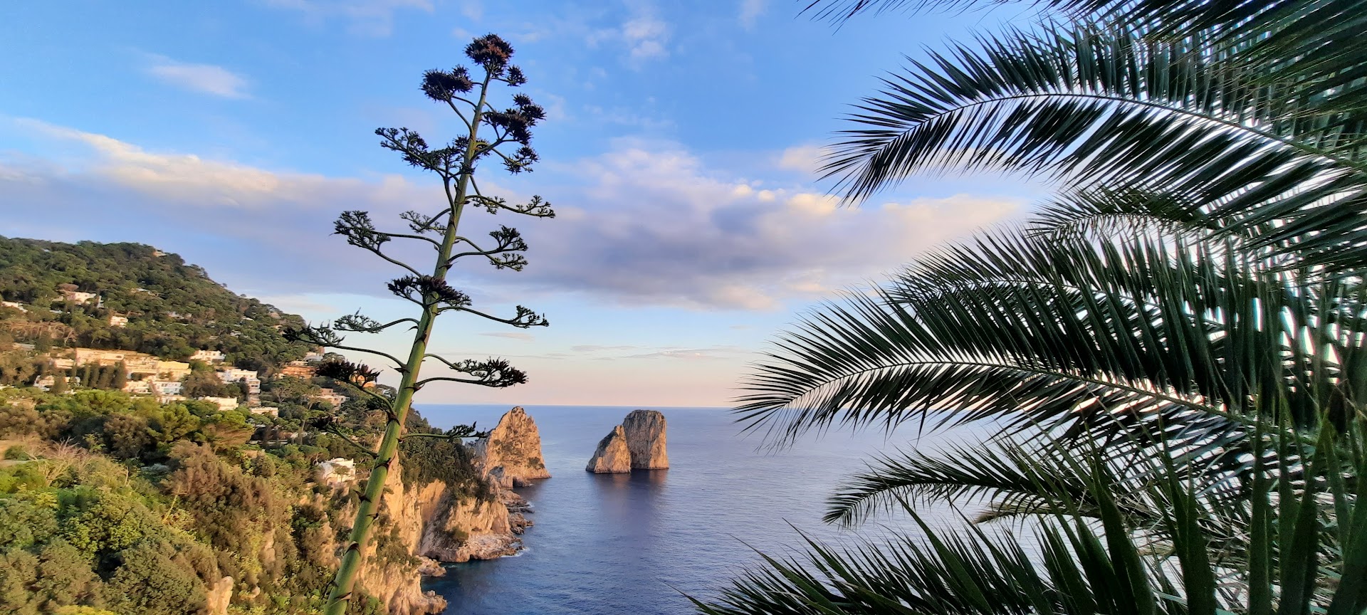 Île de Capri, dans la baie de Naples, Italie du sud. Photo © Daniel Desjardins
