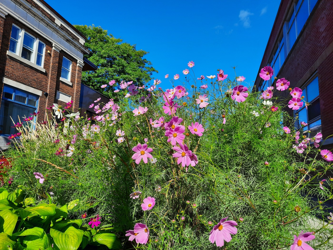 Intégrer la marche à sa vie quotidienne