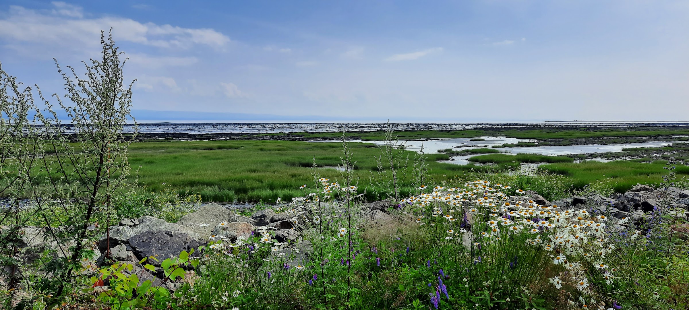 La traverse entre Saint-Joseph-de-la-Rive et l’île aux Coudres