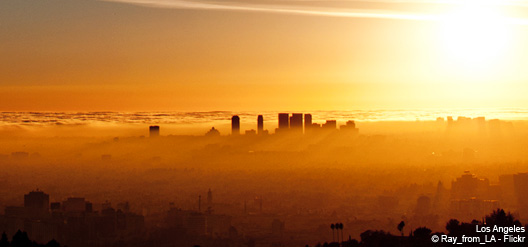 5 endroits pour voir et être vu dans la Cité des Anges