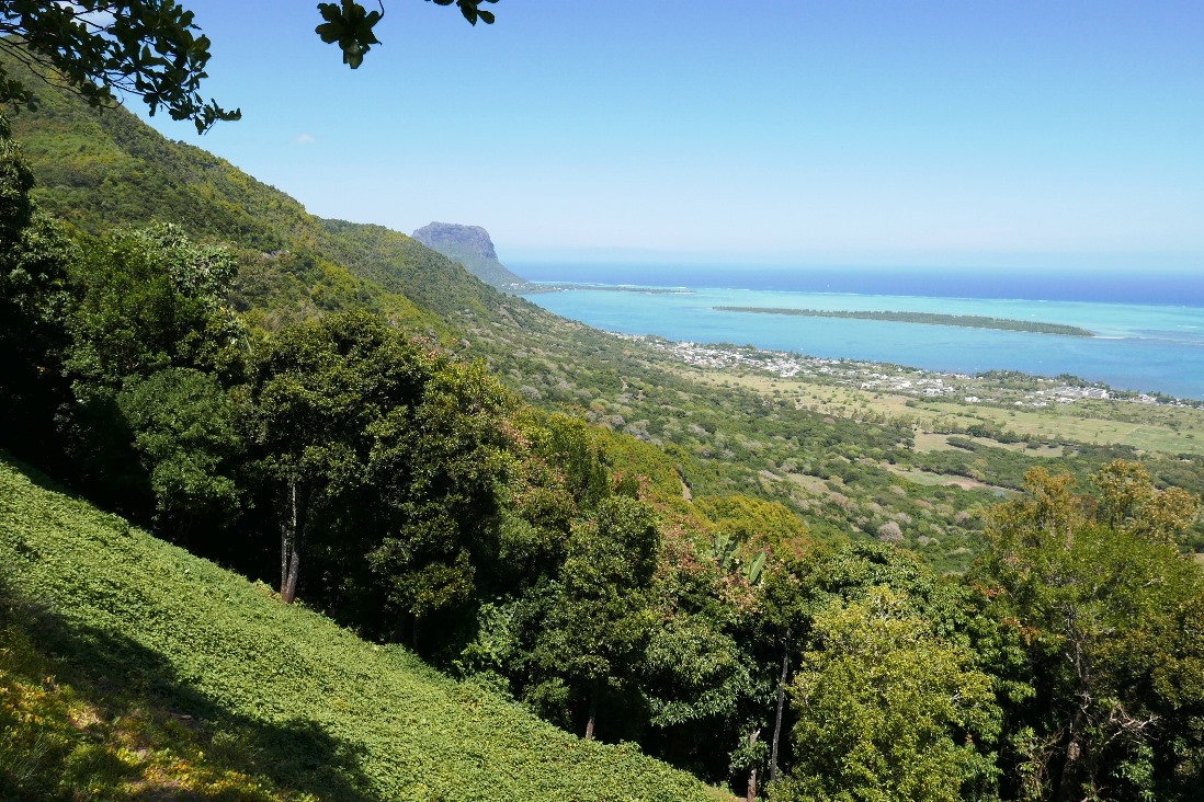 Île aux Bénitiers et morne Brabant, Maurice Photo © Marc Rigole