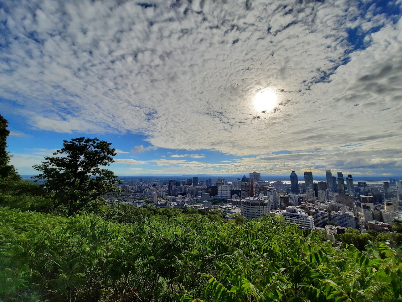 Le centre-ville de Montréal vu depuis le Mont-Royal. Photo © Daniel Desjardins