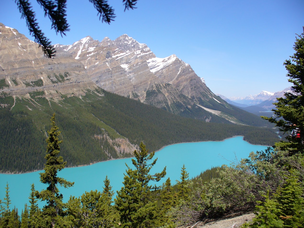 Le lac Peyto dans les Rocheuses canadiennes, province de l'Alberta, Ouest canadien. Photo © Marc Rigole