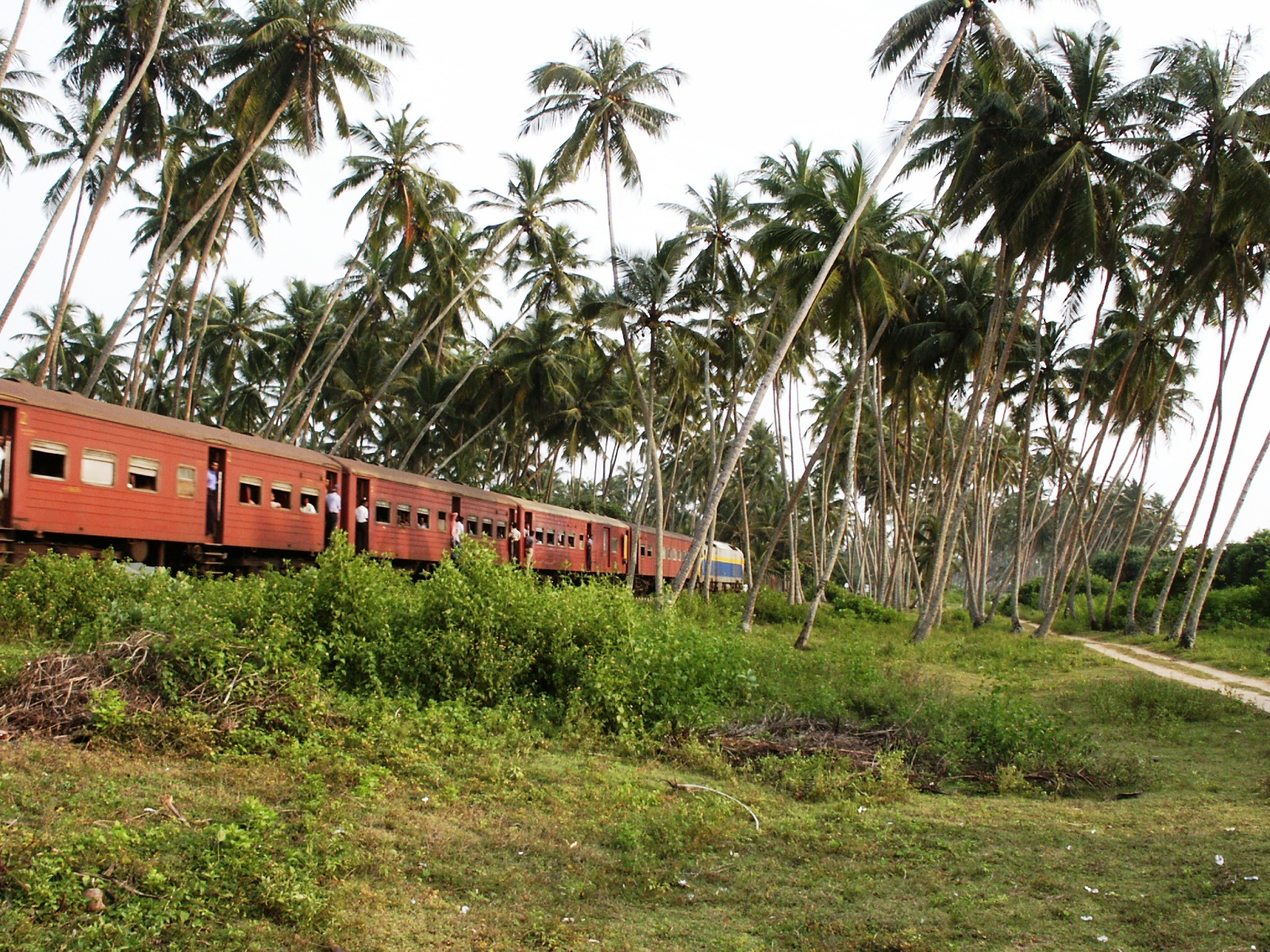 Voyage en train au Sri-Lanka, une aventure inoubliable! Photo © Marc Rigole