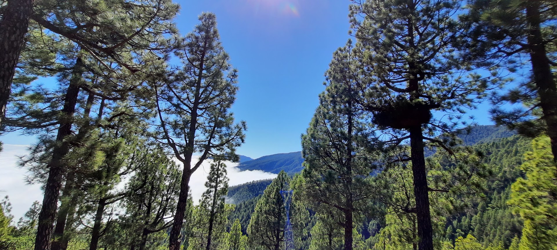 Parc national de la Caldeira de Taburiente, île de La Palma, Canaries, Espagne. Photo  © Daniel Desjardins