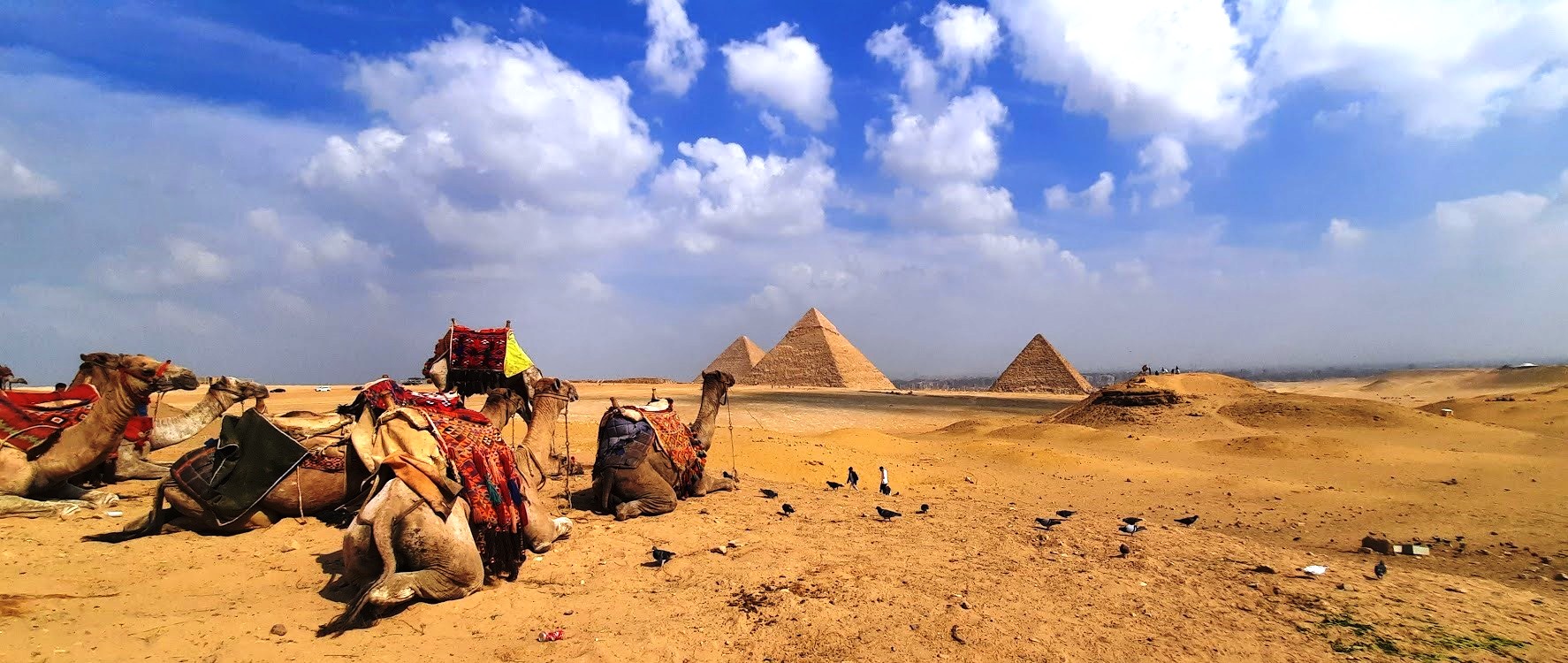 Les pyramides d’Égypte