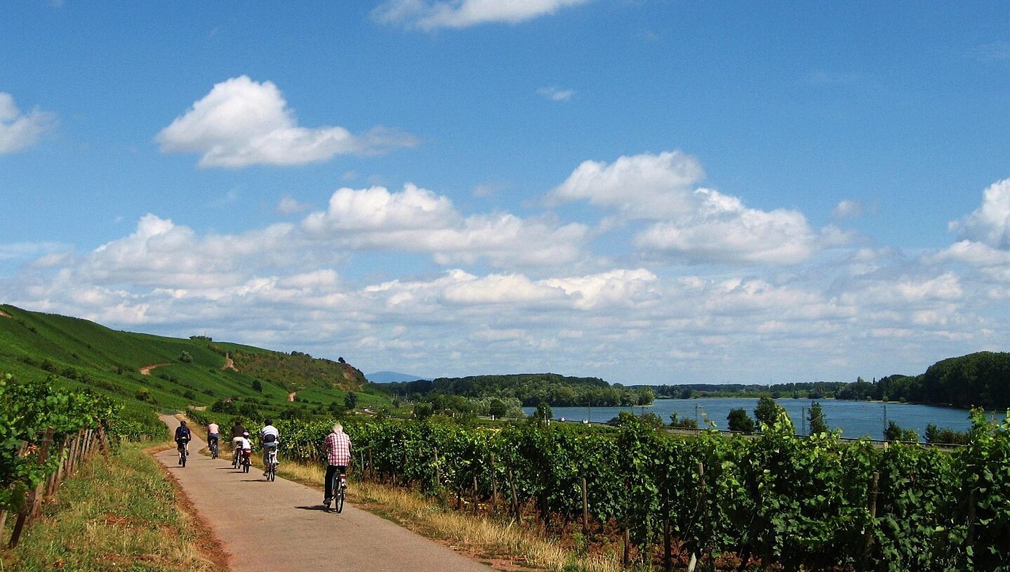 EuroVelo et Vélodyssée