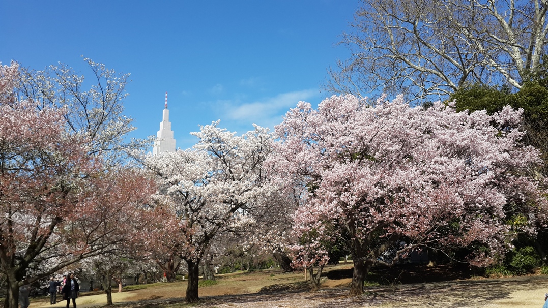 Parcs et jardins de Tokyo