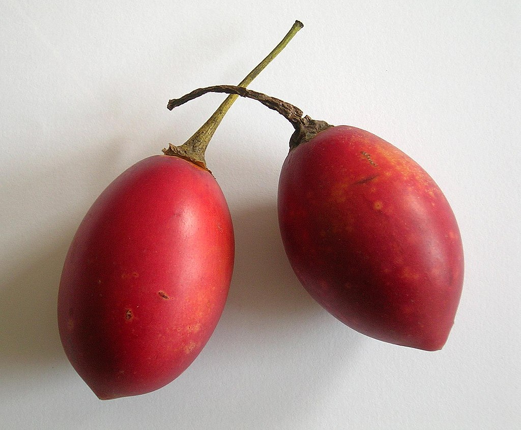 Tamarillo