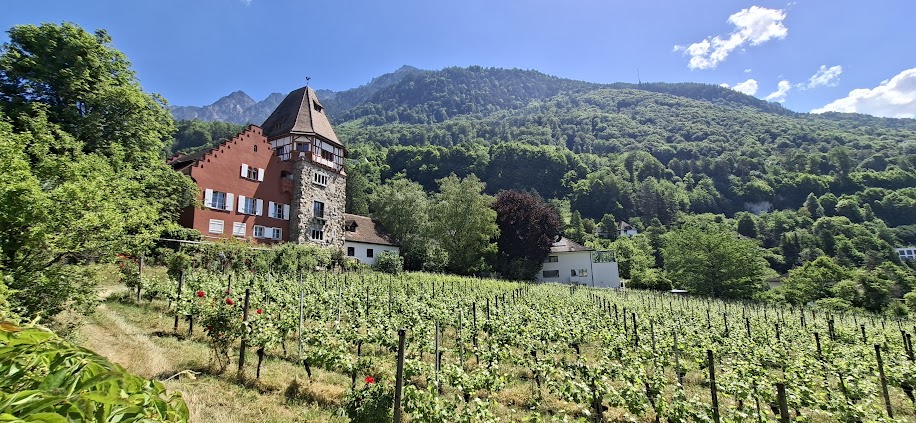 Un vignoble à Vaduz au Liechtenstein. Photo  © Daniel Desjardins