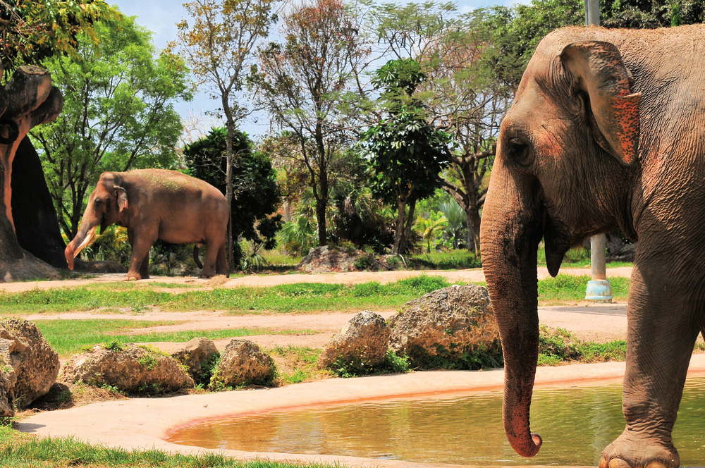 La Floride en famille au-delà des parcs d’attractions
