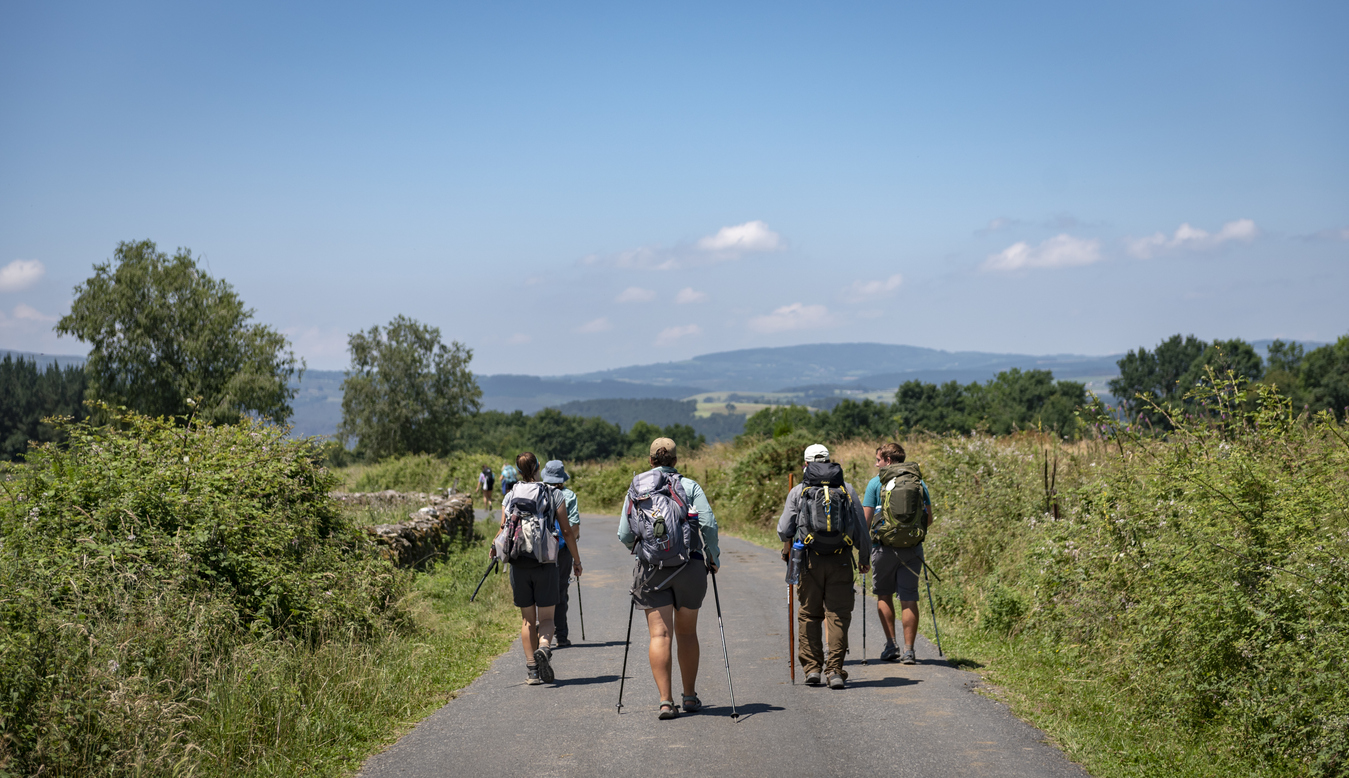 Pèlerins marchant sur le chemin de Saint-Jacques de Compostelle. iStock /  © Joel Carillet