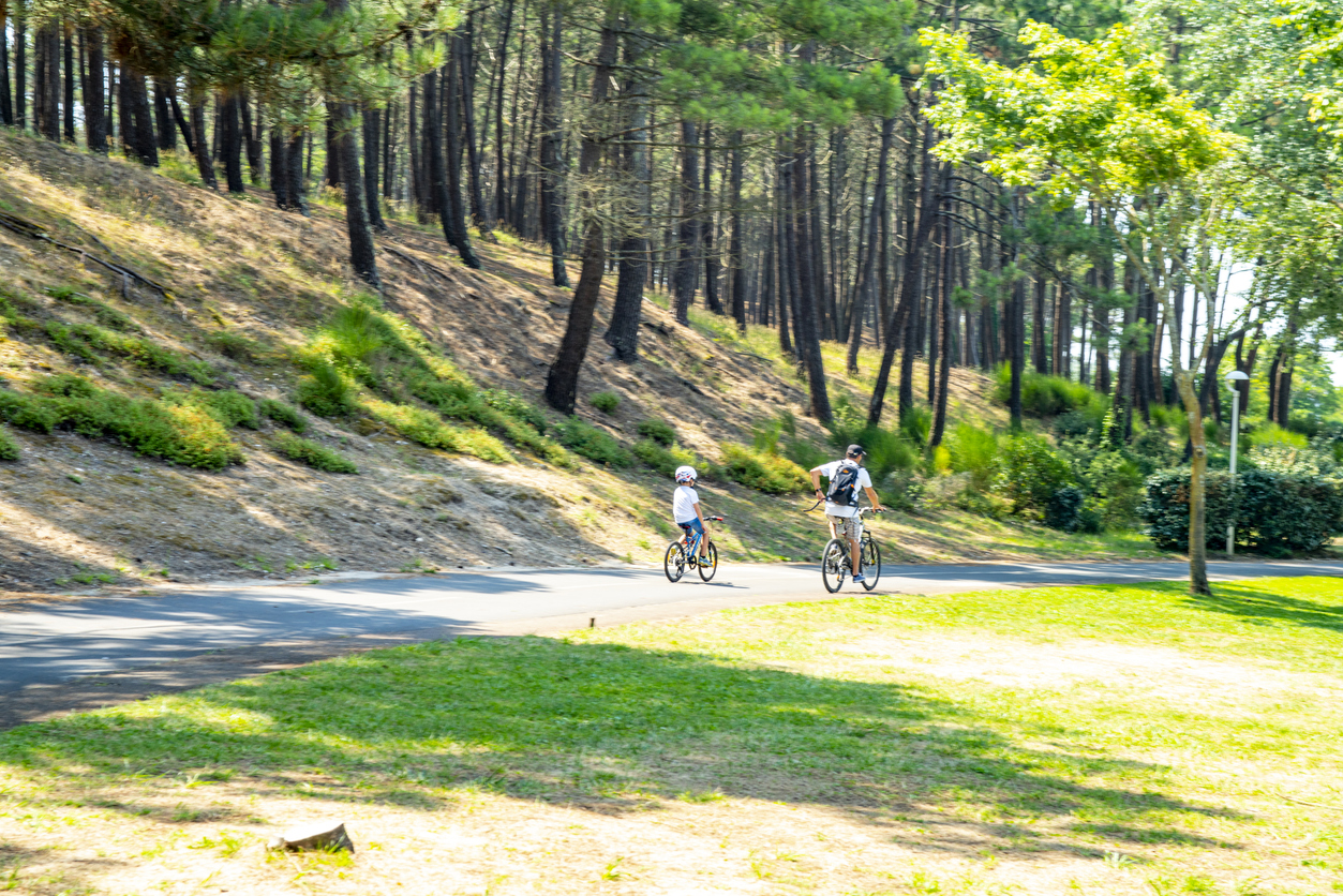 Arcachon, France. © iStock / Alphotographic