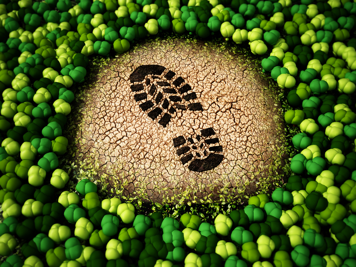 L"empreinte écologique.  © iStock / adventtr