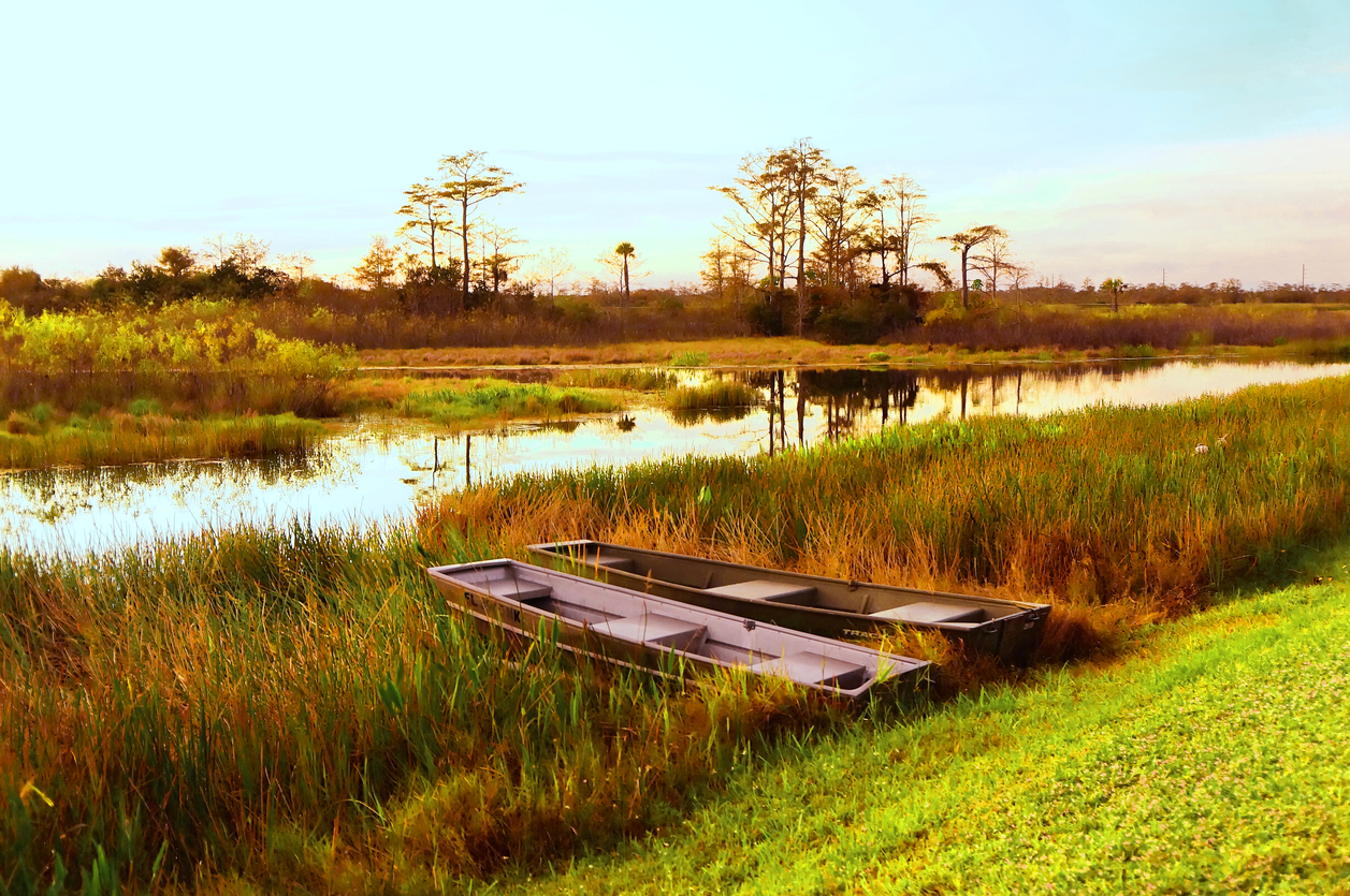 Paysage de Louisiane © iStock / Jaimie Tuchman