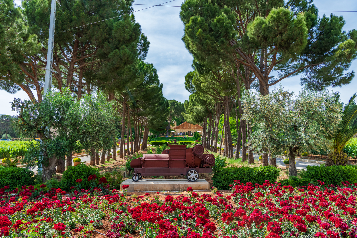 L’étonnante histoire du domaine Château Ksara