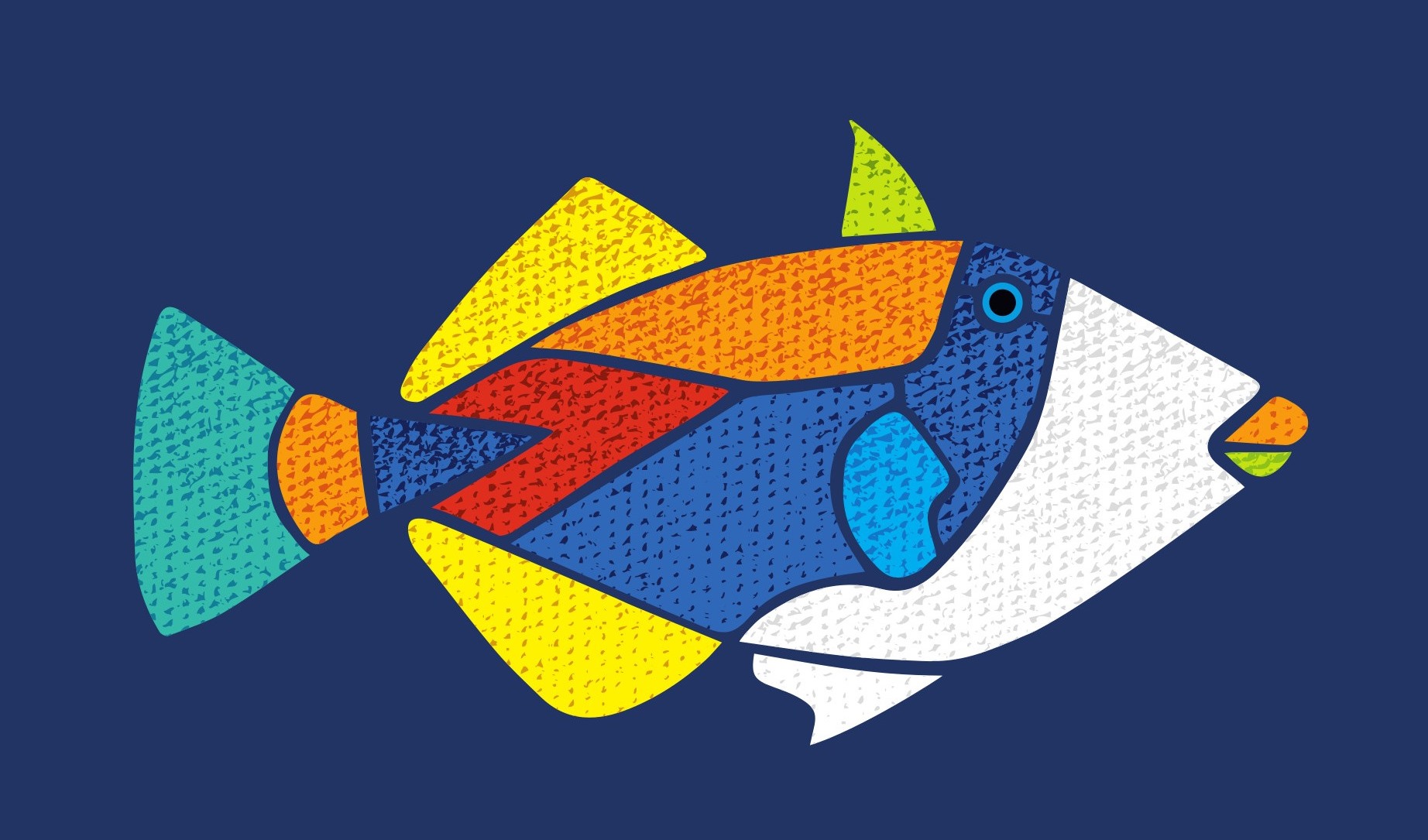 Le Humuhumunukunukuapua’a (Rhinecanthus rectangulus)