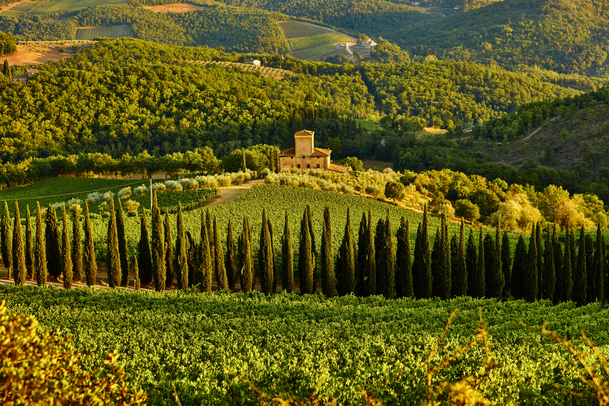 Le vignoble du Chianti en Toscane, Italie du nord © iStock / OSTILL