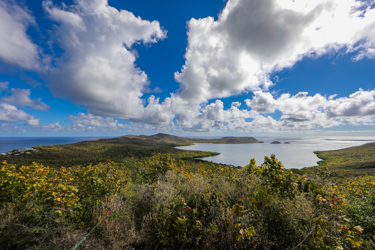 La côte Atlantique de la Martinique