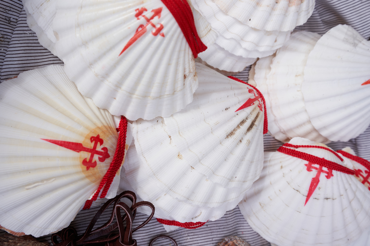 Coquilles Saint-Jacques, symboles du chemin de Compostelle © iStock / Fina Sangiao
