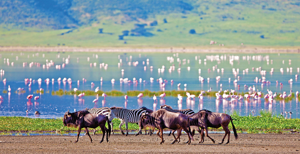 Partir en safari dans le nord de la Tanzanie