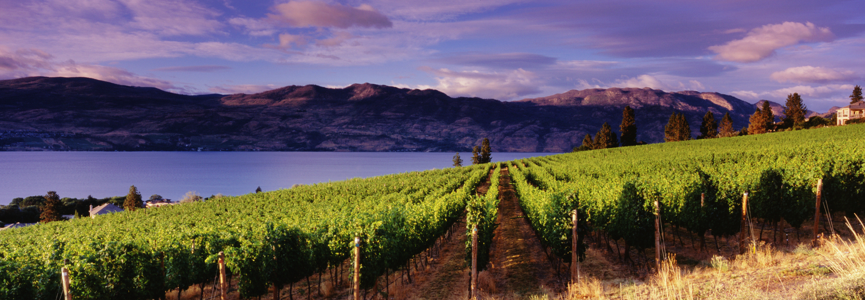 Petite histoire du vin de l’Okanagan