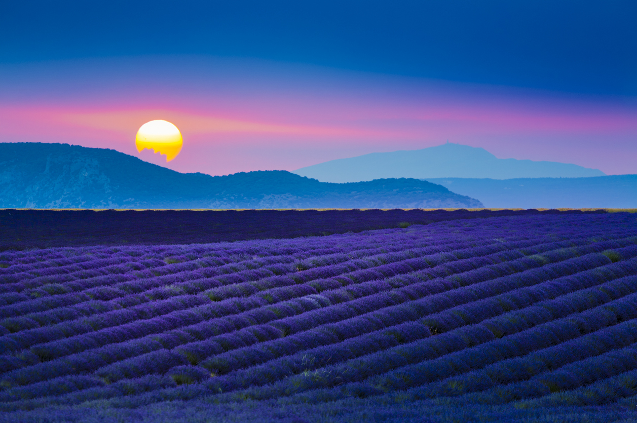 Le mont Ventoux derrière les champs de lavande.  © iStock /Michal Krakowiak