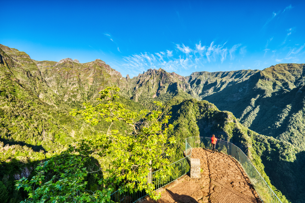 Point de vue sur la levada dos Balcoes, vallée de la Ribeira da Metade, île de Madère, Portugal. iStock / roman_slavik