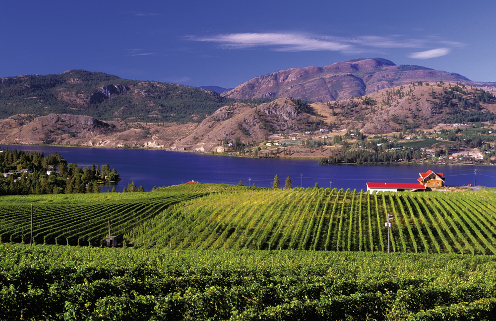 Petite histoire du vin de la vallée de l’Okanagan
