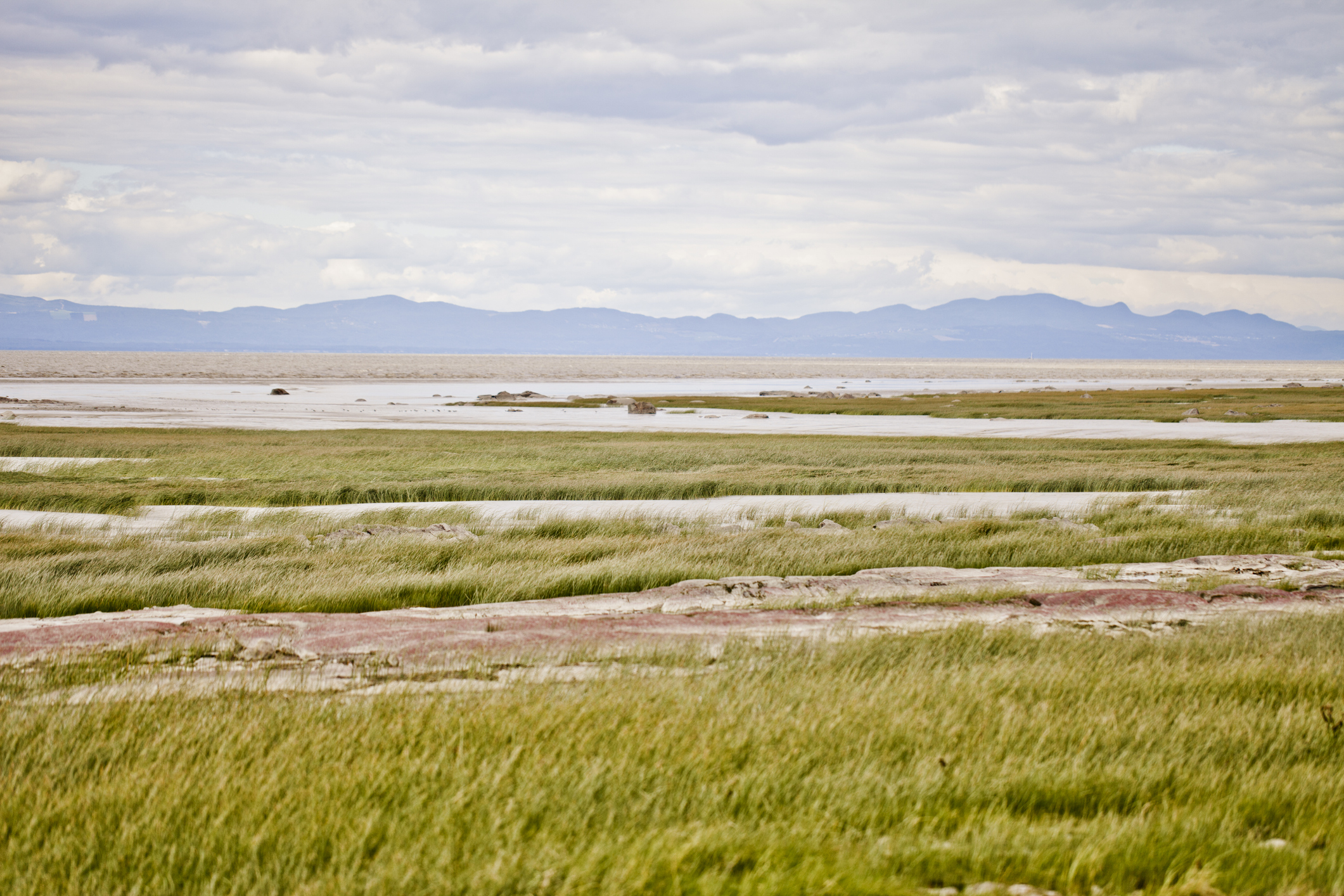 Le fleuve Saint-Laurent à Saint-Jean-Port-Joli. © iStock / MmeEmil