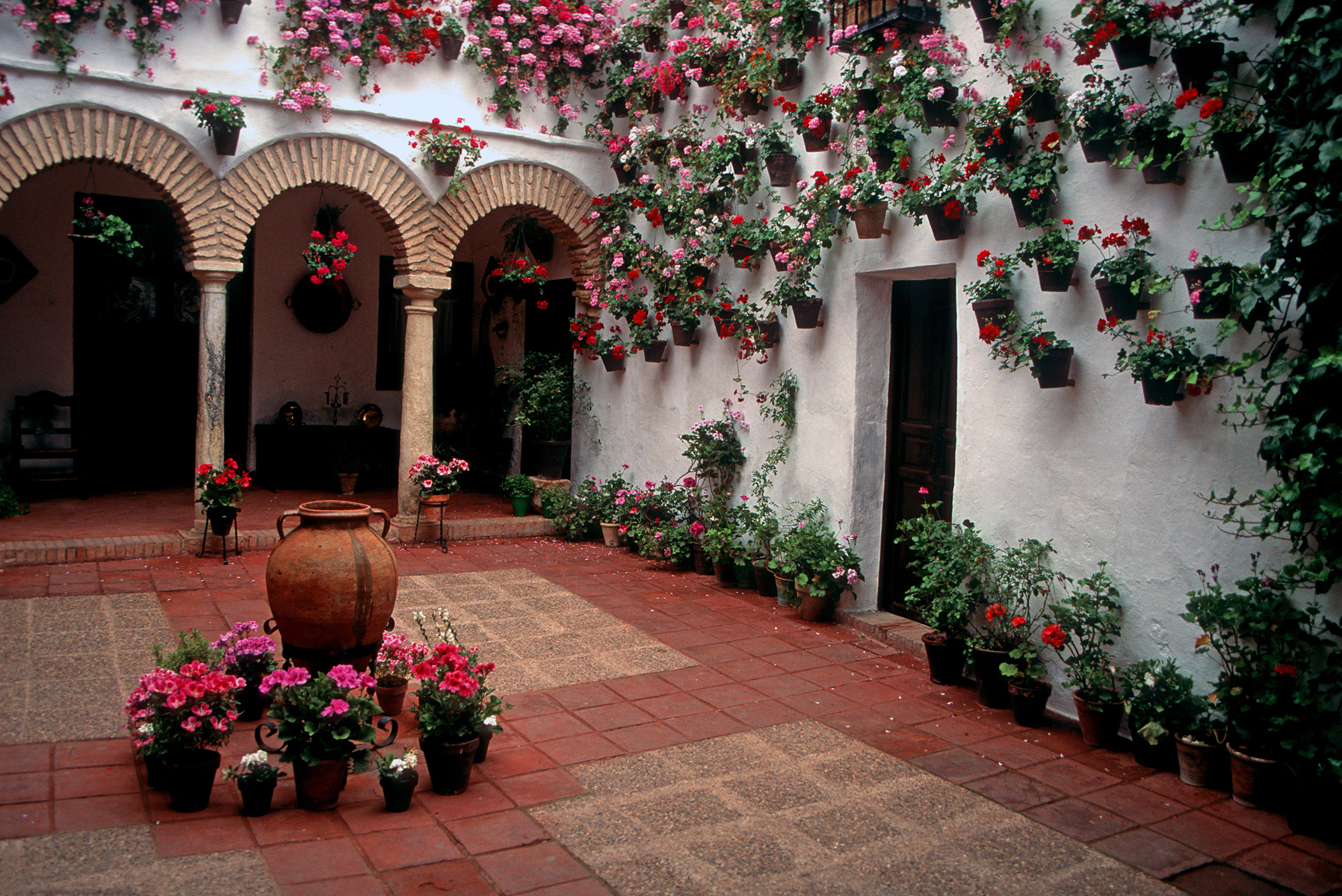 Un patio andalou à Cordoba (Cordoue), Andalousie, Espagne © iStock / ManuelVelasco