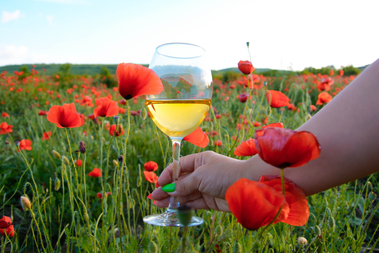  © iStock / andreymuravin
