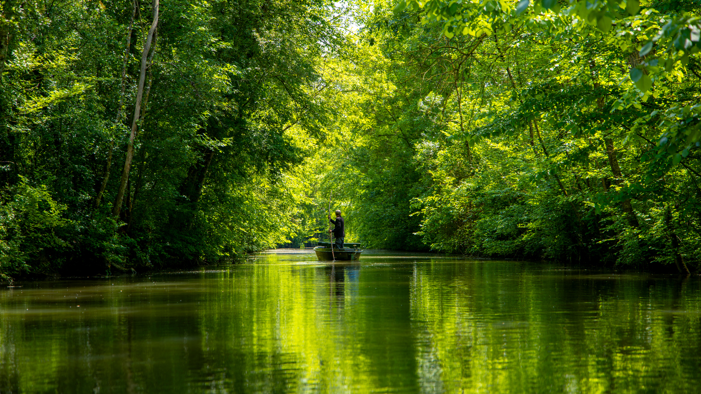 Le Marais poitevin, la Venise verte de France © iStock / margouillatphotos