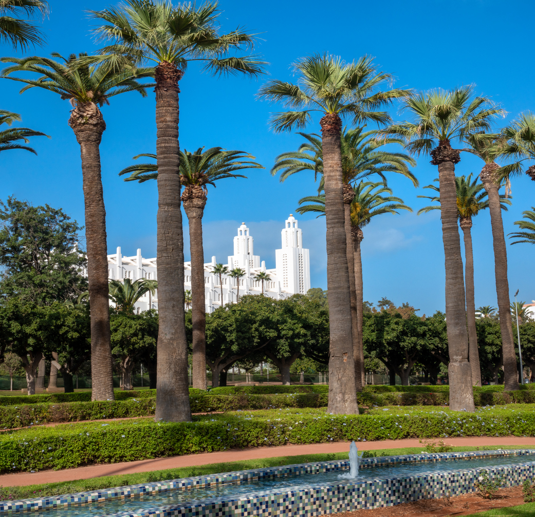 Allée bordée de palmiers dans le parc de la Ligue arabe de Casablanca avec l’imposante cathédrale du Saint-Cœur en arrière-plan. Casablanca, Maroc,  © iStock / Leamus