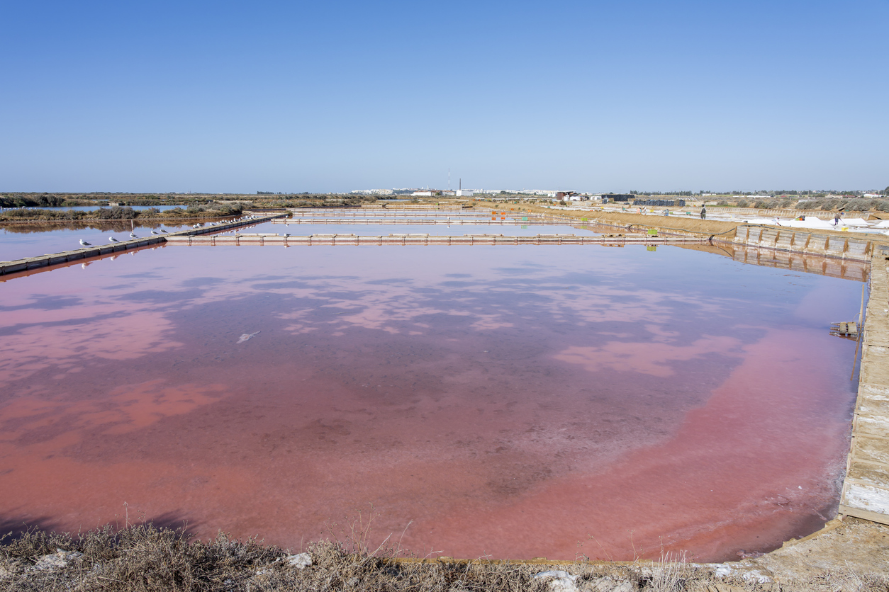 Le lac rose salé des Salinas do Grelha, Algarve, Portugal © iStock / Rob Jansen
