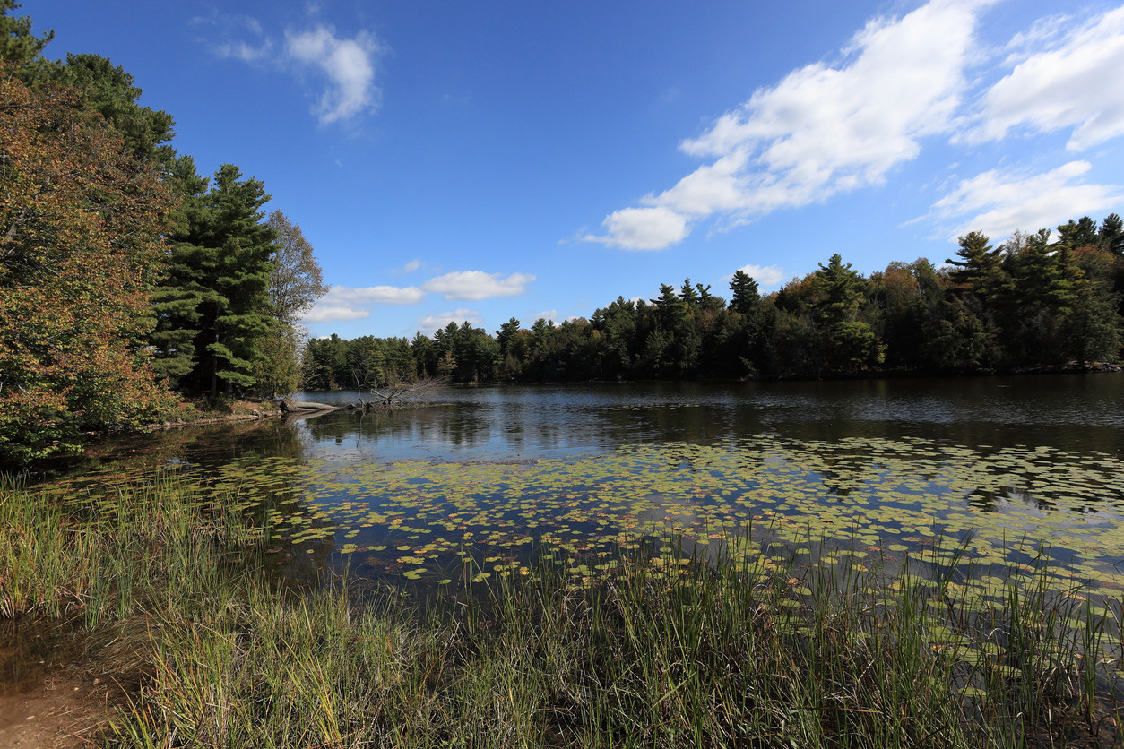Un lac au Le Parc provincial Murphys Point en Ontario © iStock / brightmotion