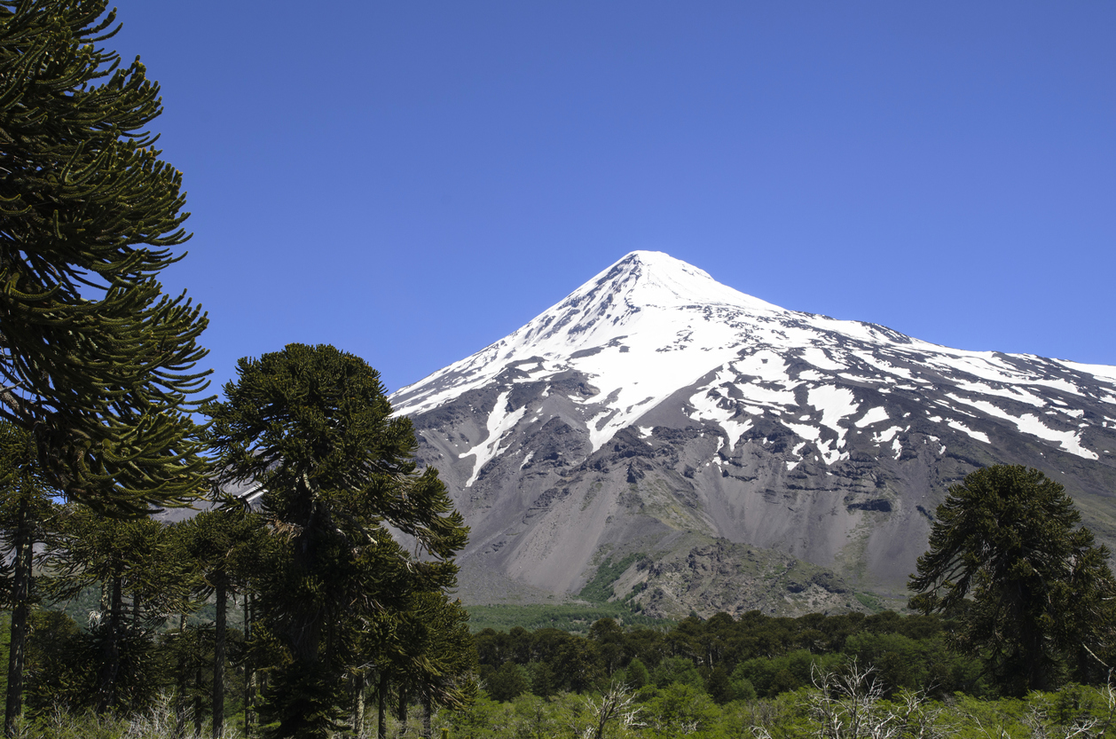 Le volcán Lanín, à la frontière entre le Chili et l