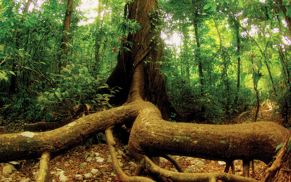 Un comportement exemplaire